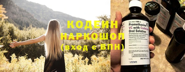 крисы Вяземский